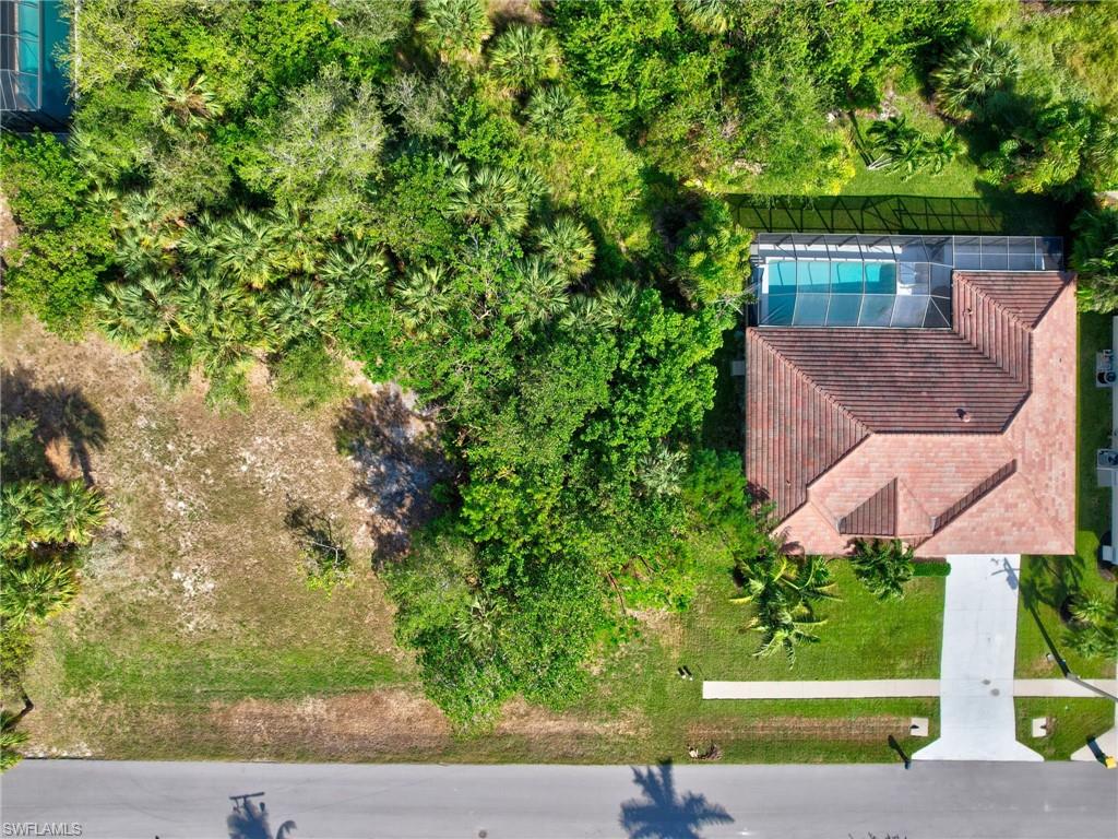 601 Diplomat CT