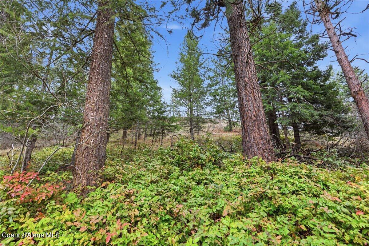 2586 E Fernan Hill RD, Coeur d'Alene