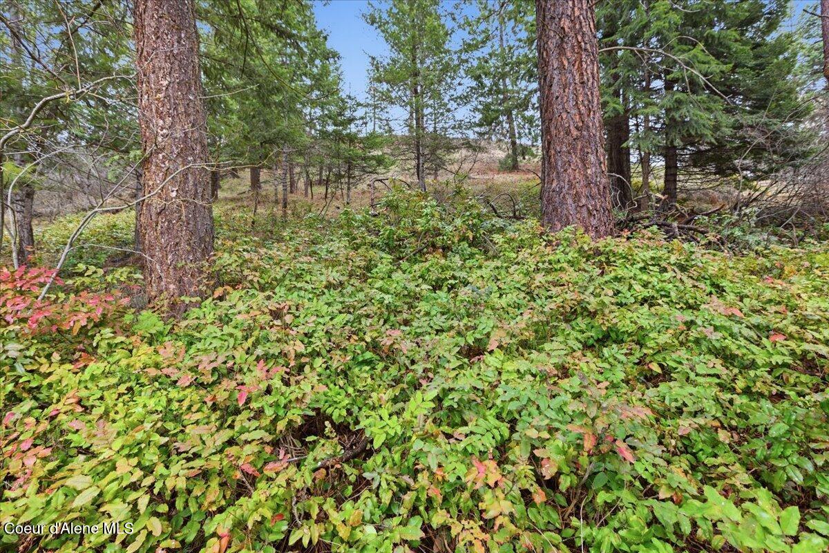 2586 E Fernan Hill RD, Coeur d'Alene