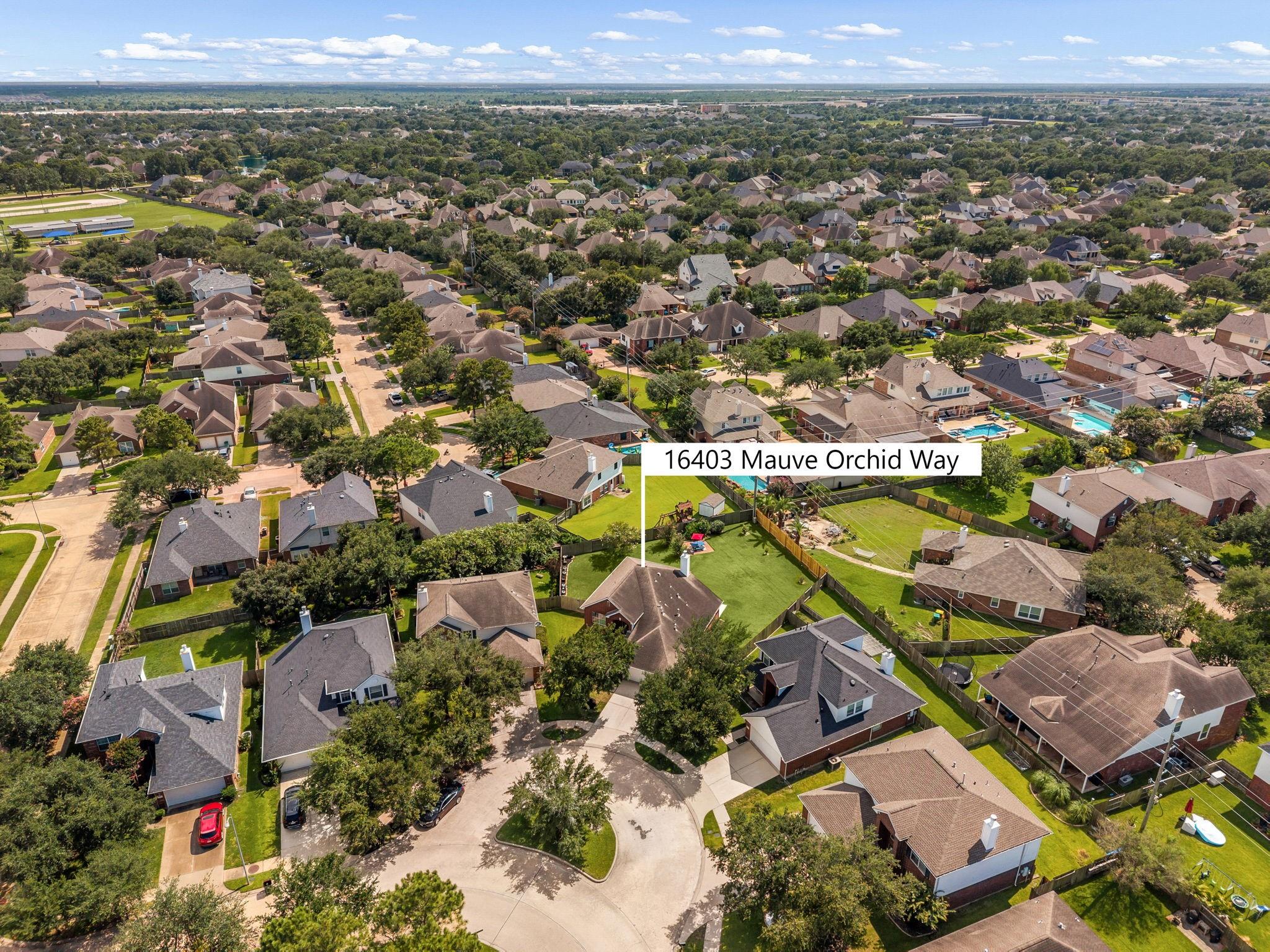 16403 Mauve Orchid Way