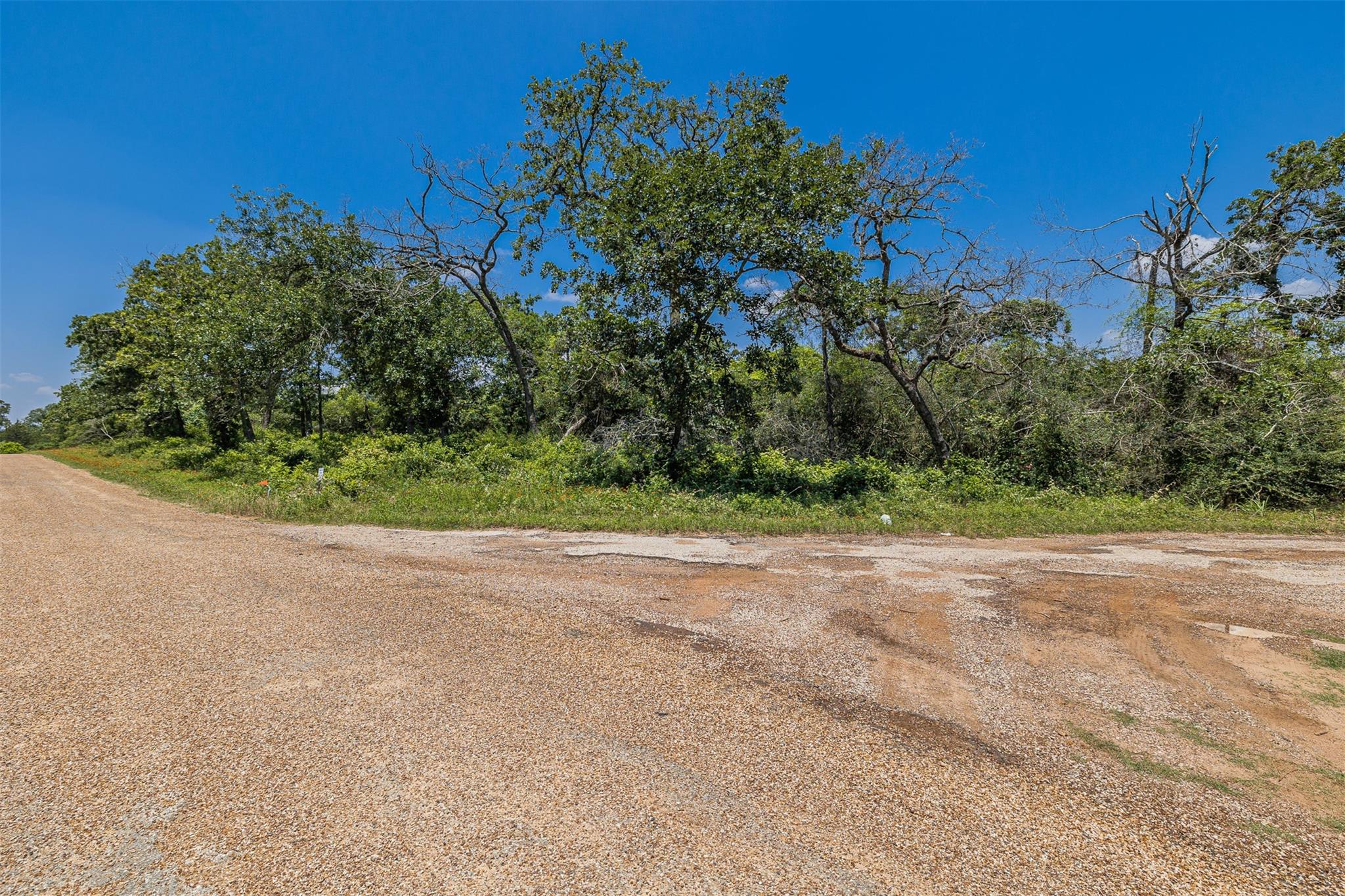 000 Pin Oak Drive