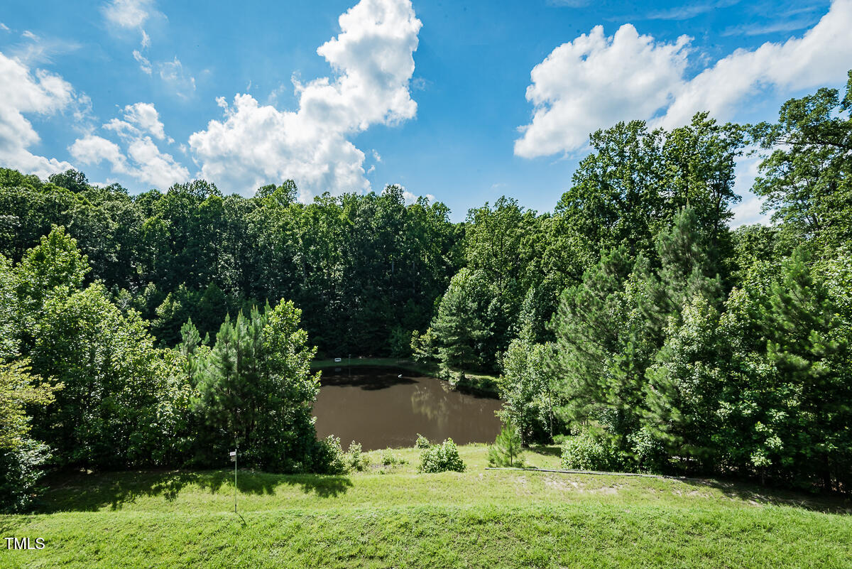 5313 Bass Mountain Road