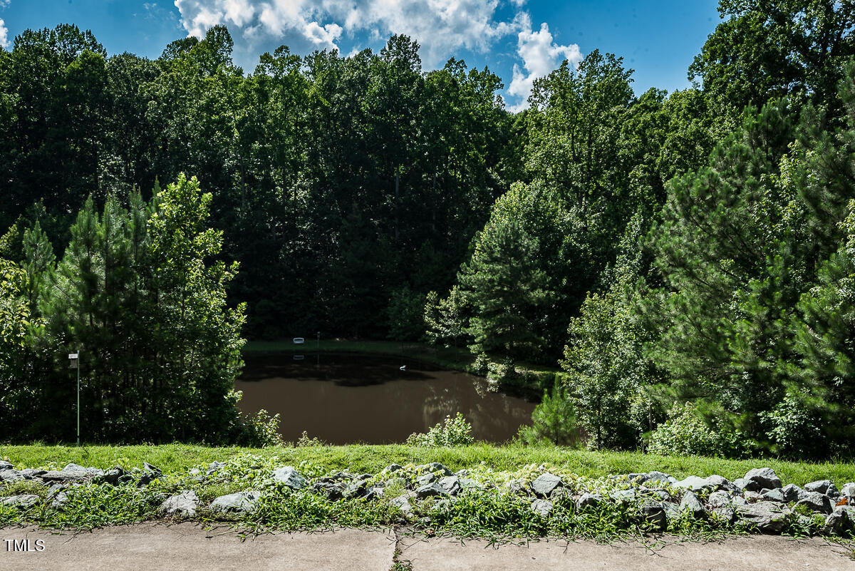 5313 Bass Mountain Road