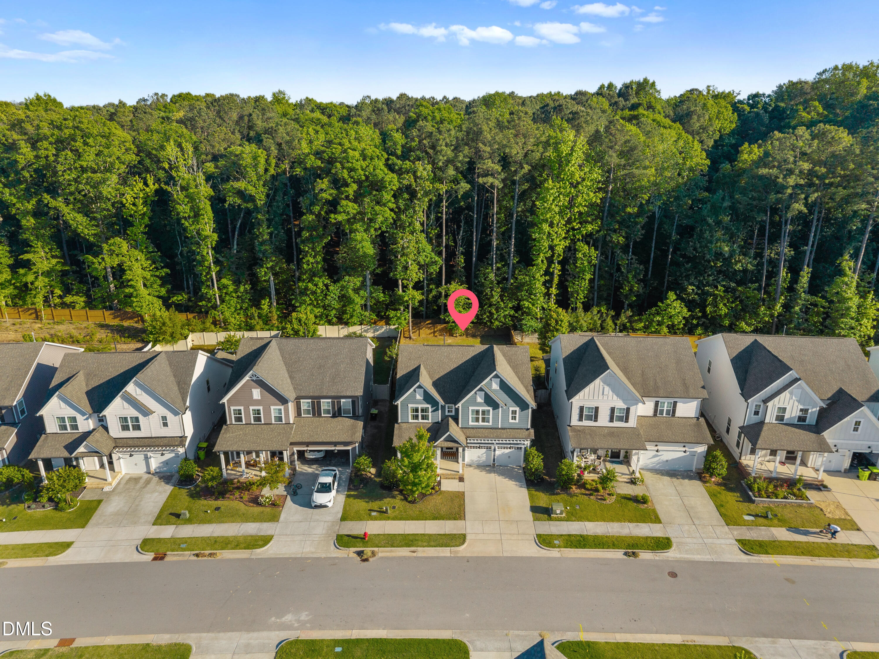 3263 Ripley River Road