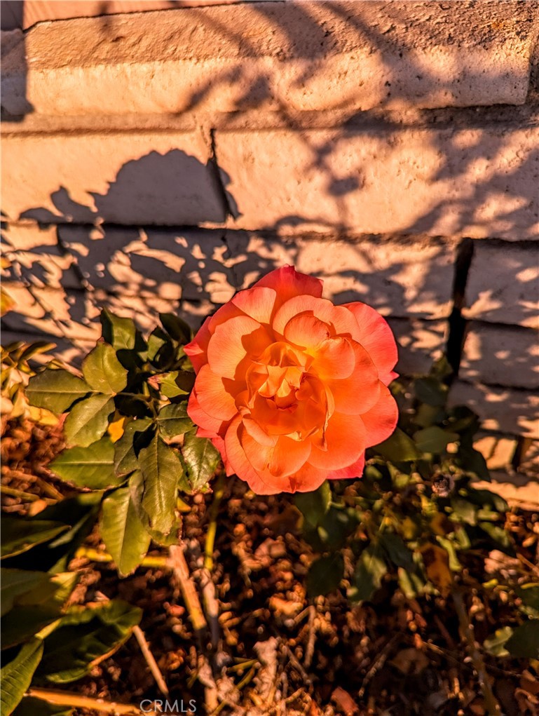 5815 E La Palma NW 187