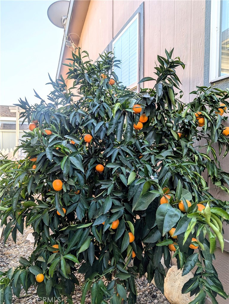 5815 E La Palma NW 187