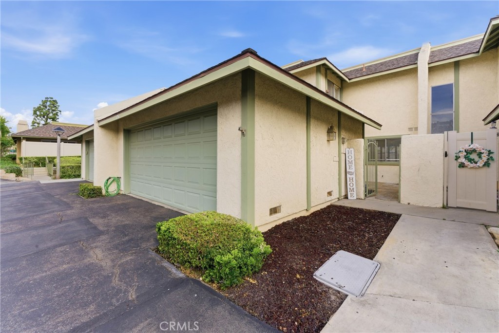 1751 Silver Maple