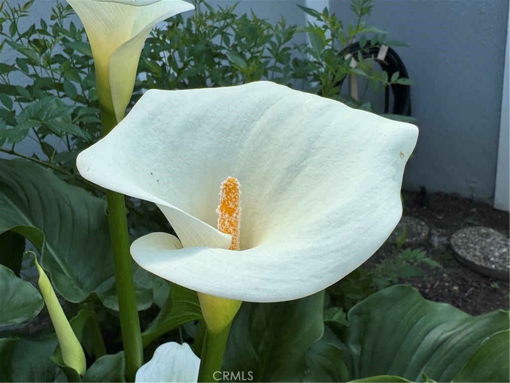 11715 Broadfield Drive