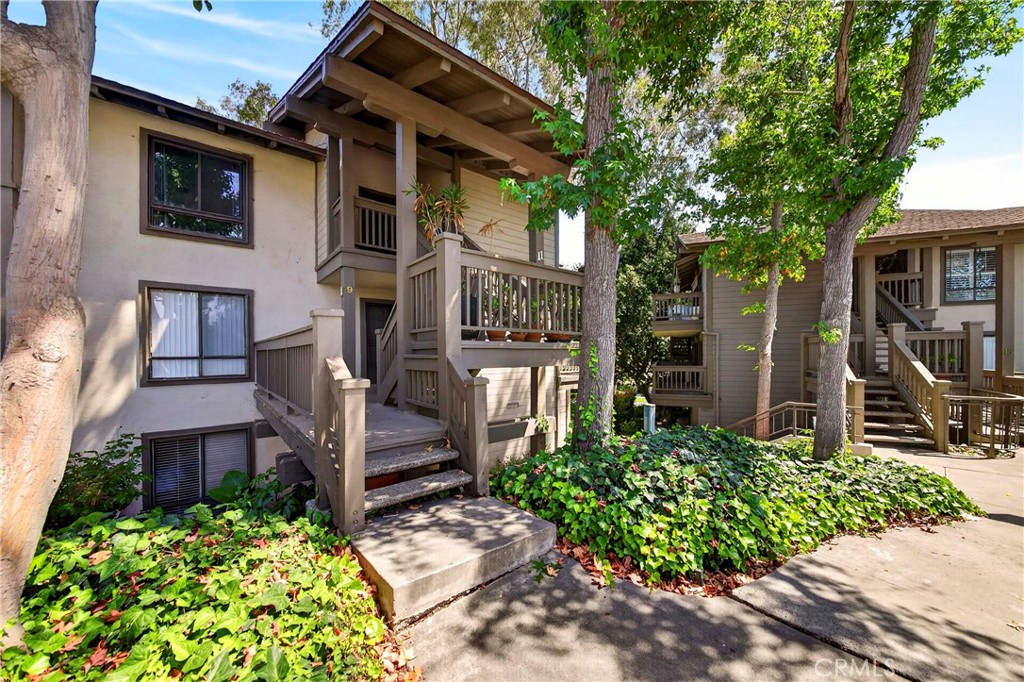 9 Madrona
