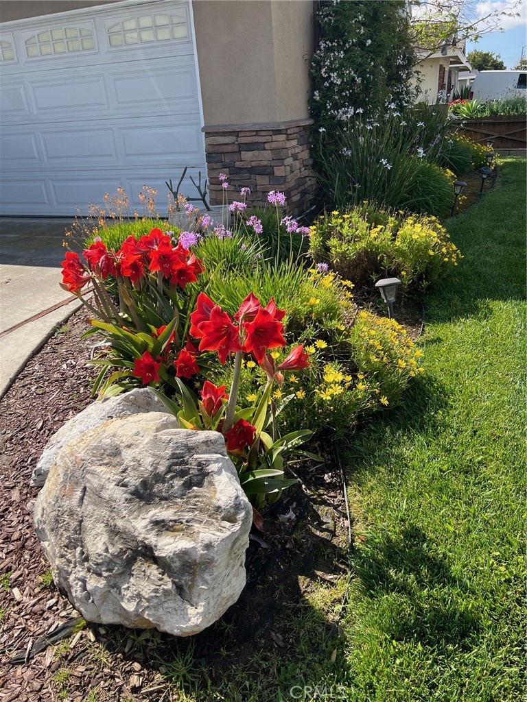 10242 Barbara Anne Street