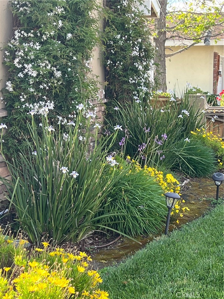 10242 Barbara Anne Street