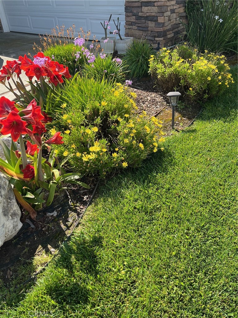 10242 Barbara Anne Street