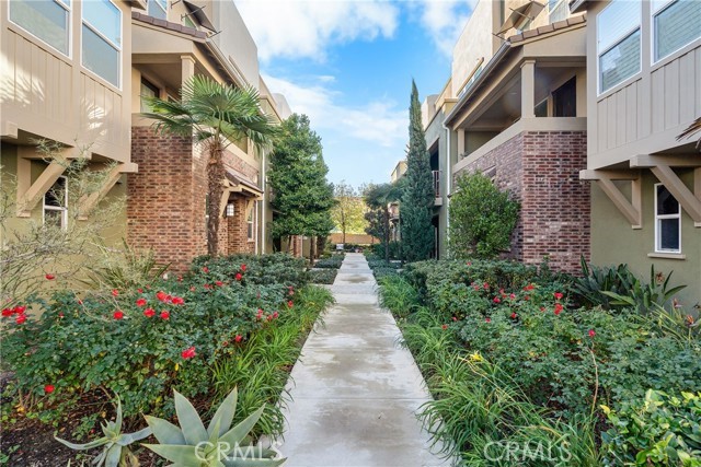 5724 Spring