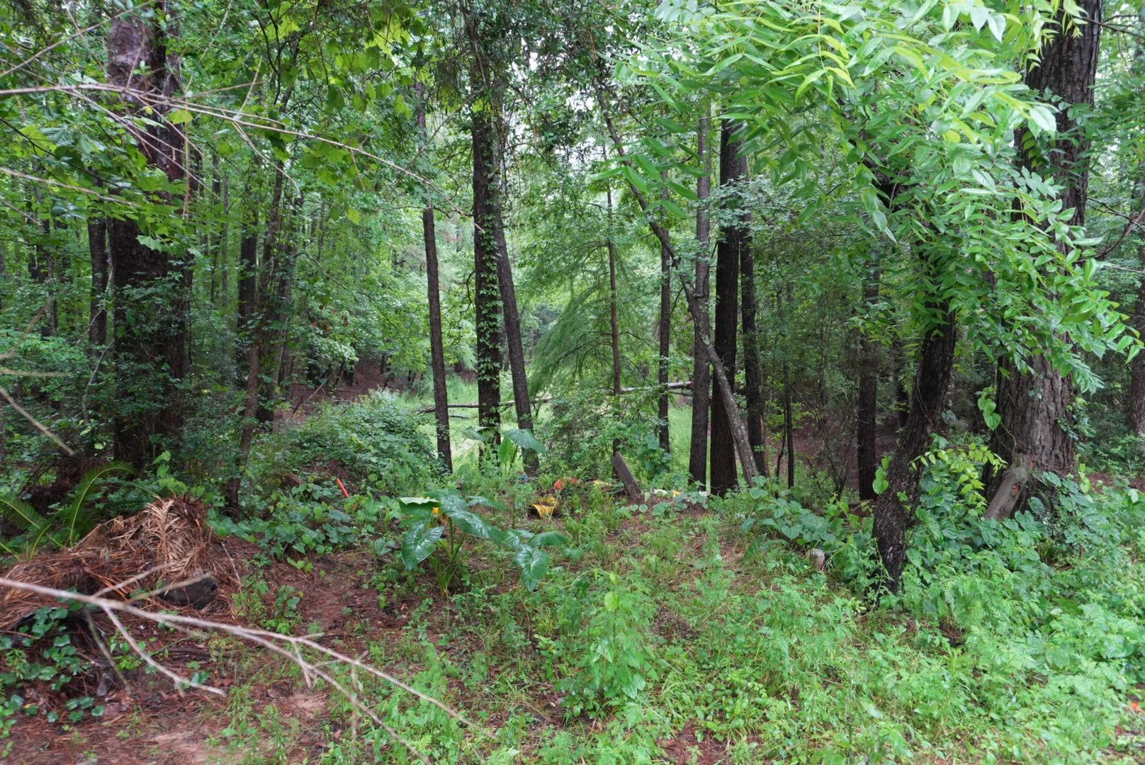 1635A Lake Charlotte Road