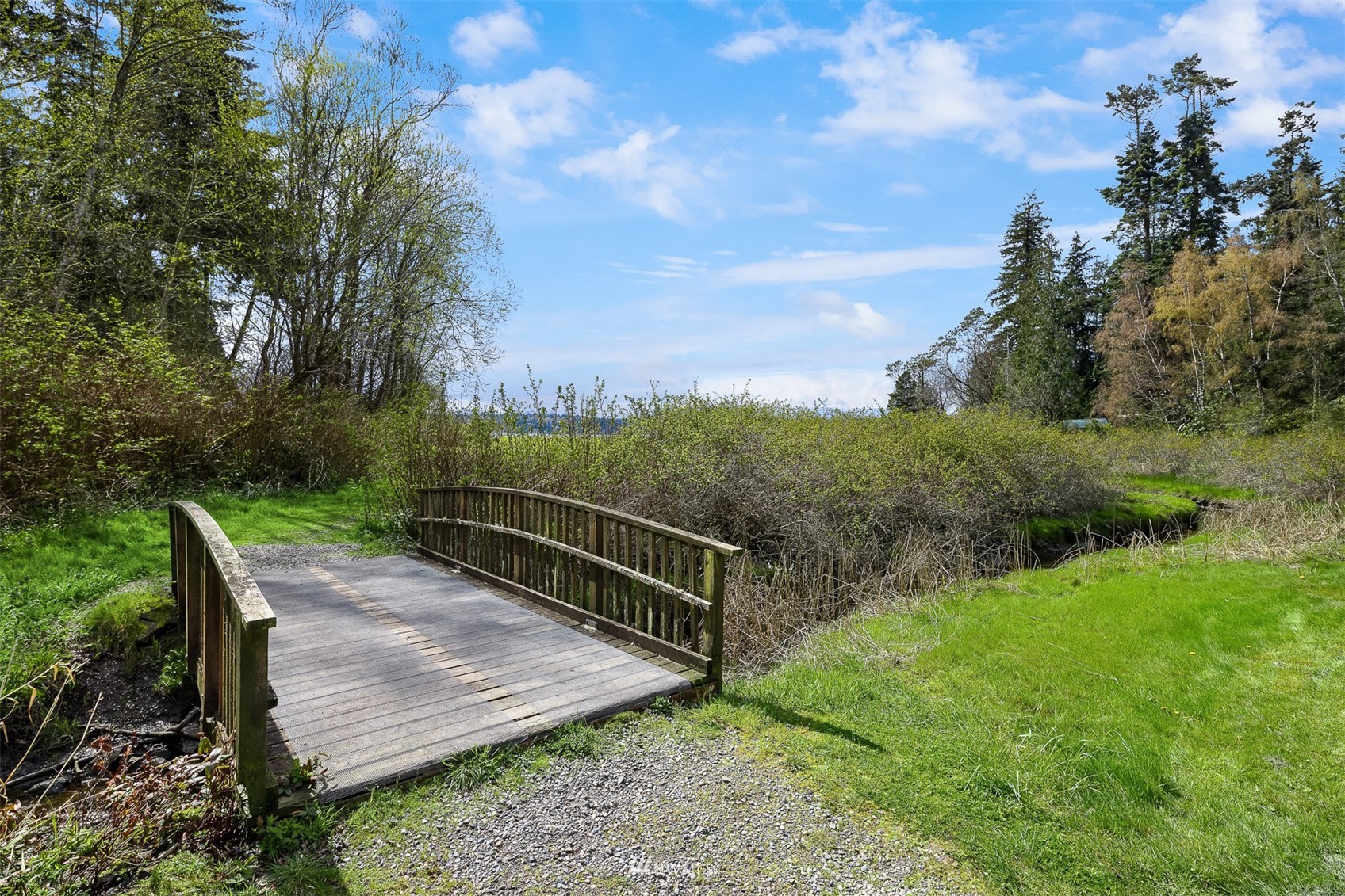 Wooden footbridge over a narrow creek, surrounded by spring greenery.