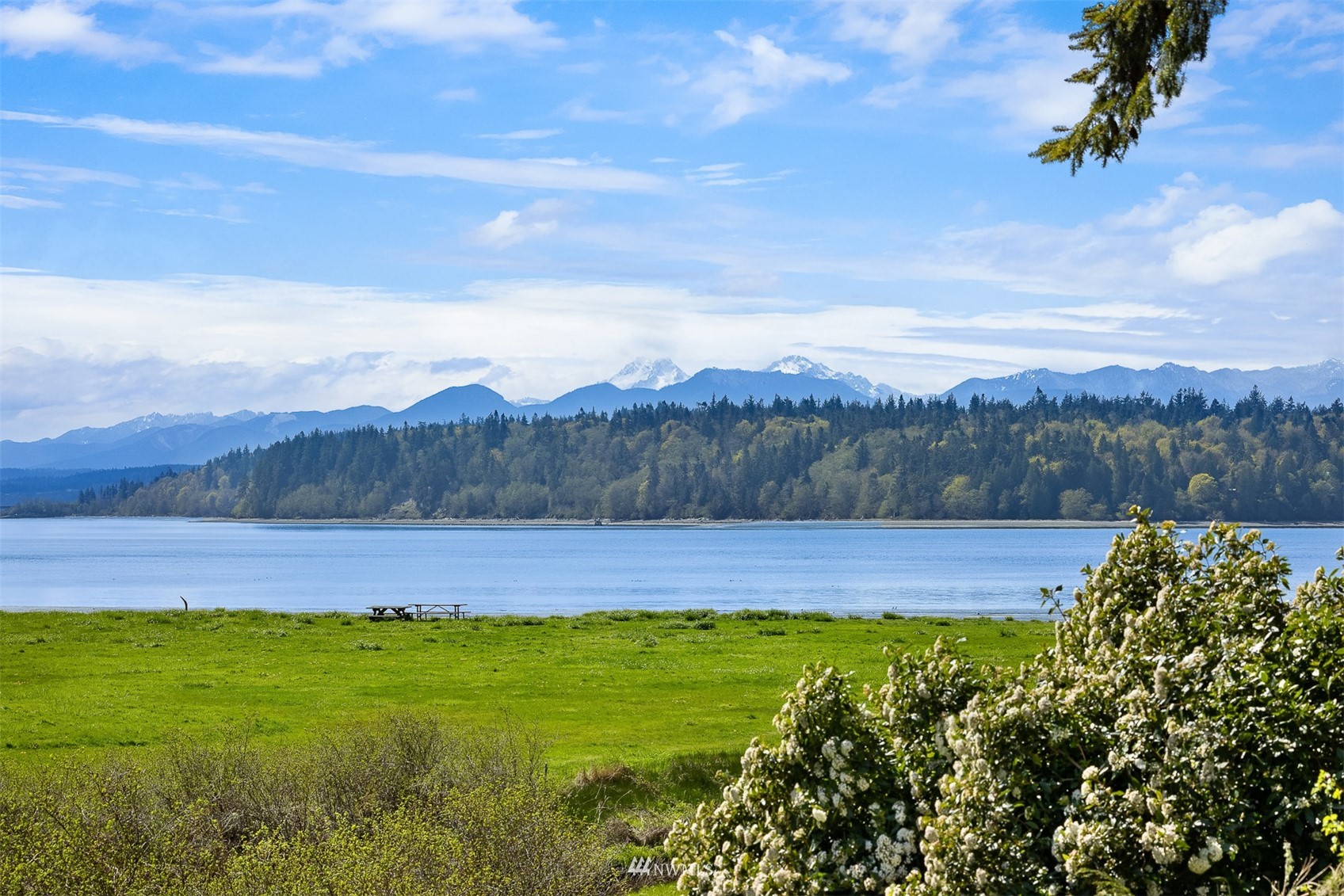 Waterfront lawn and calm water with forested hills and distant mountain peaks.