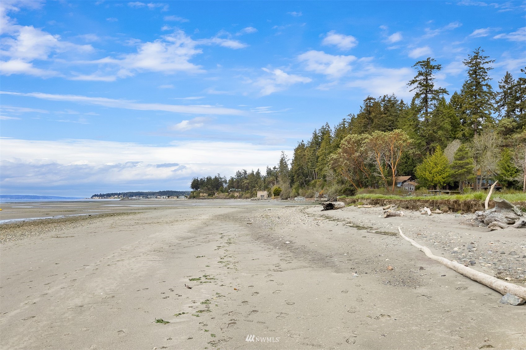 Sandy waterfront beach at low tide with driftwood and wooded homes along the shore.