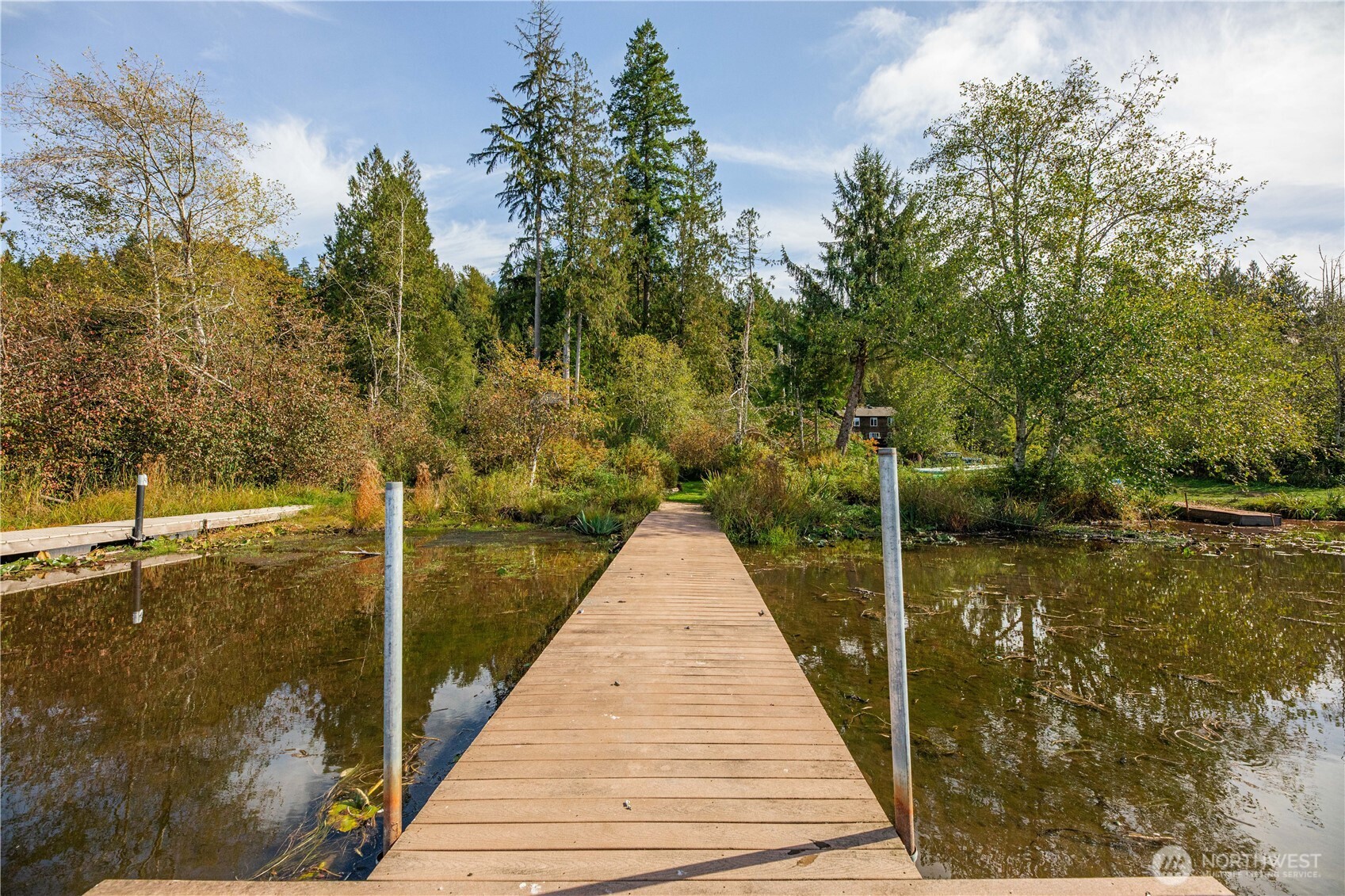Wooden dock stretches across shallow water toward a wooded shoreline.