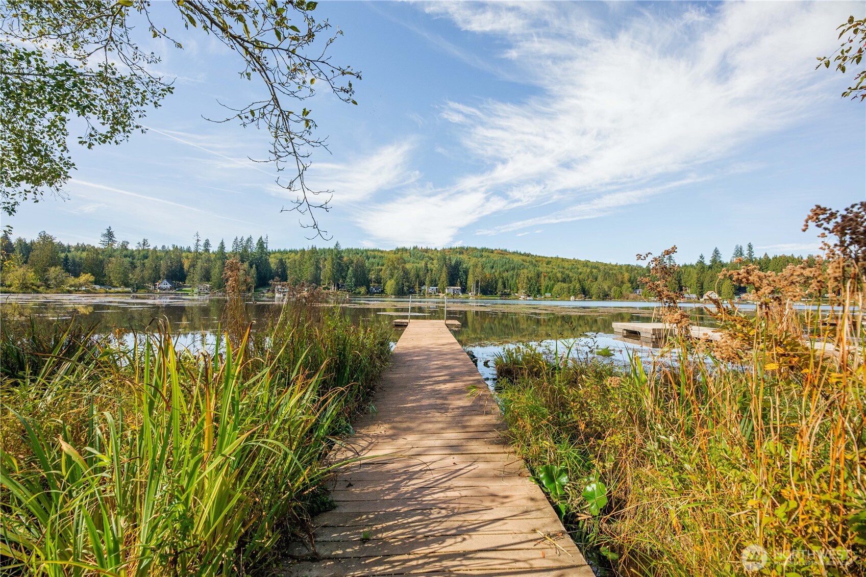 Wooden dock reaches through shoreline reeds into a calm lake backed by forested hills.