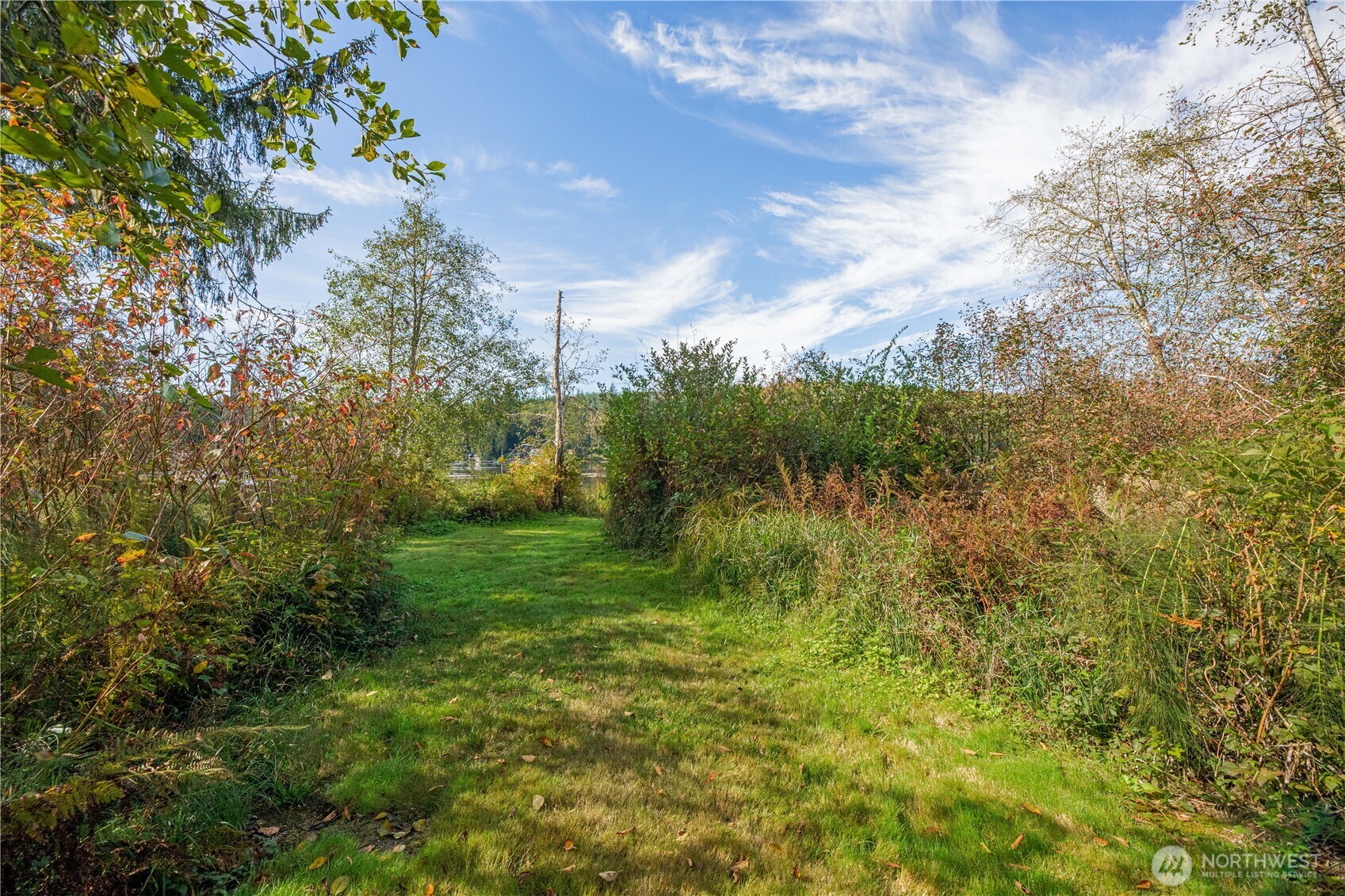 Grassy path through autumn vegetation leads toward a glimpse of the lake.