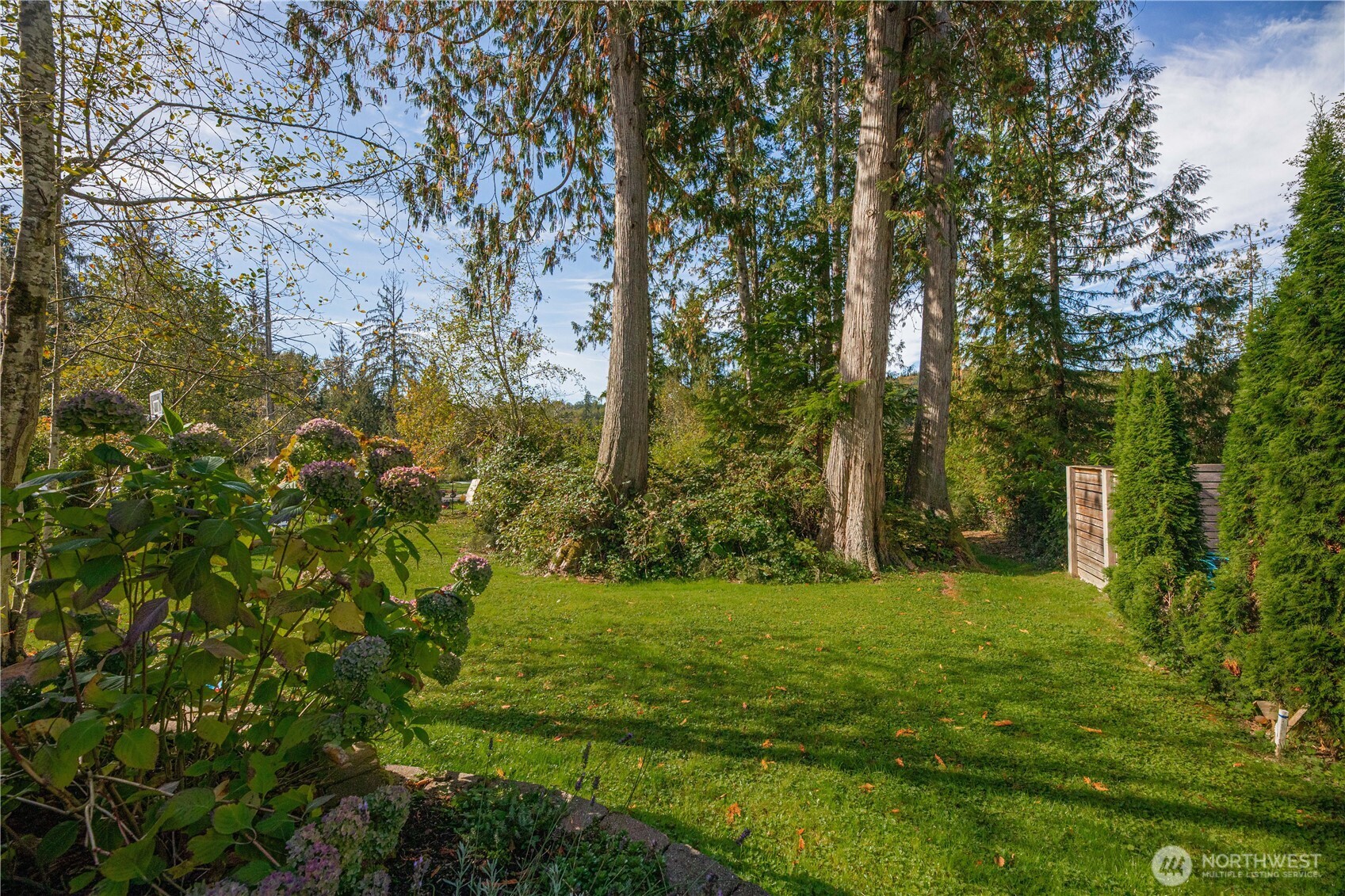 Landscaped yard with a broad lawn, tall mature trees, hydrangeas, and a wooden garden gate.