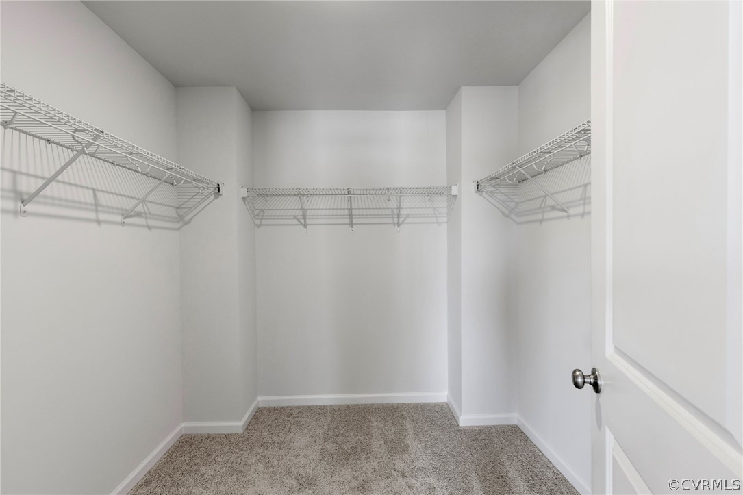 239 Bellevue Cir