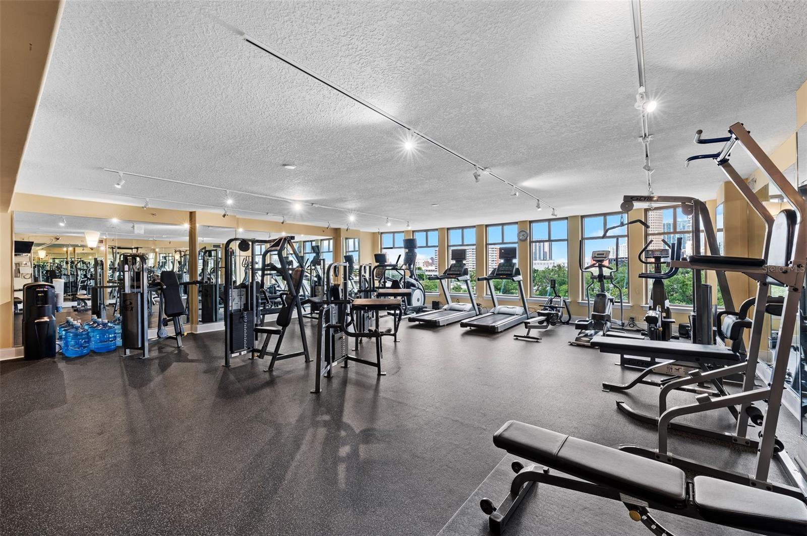 275 BAYSHORE BLVD #503