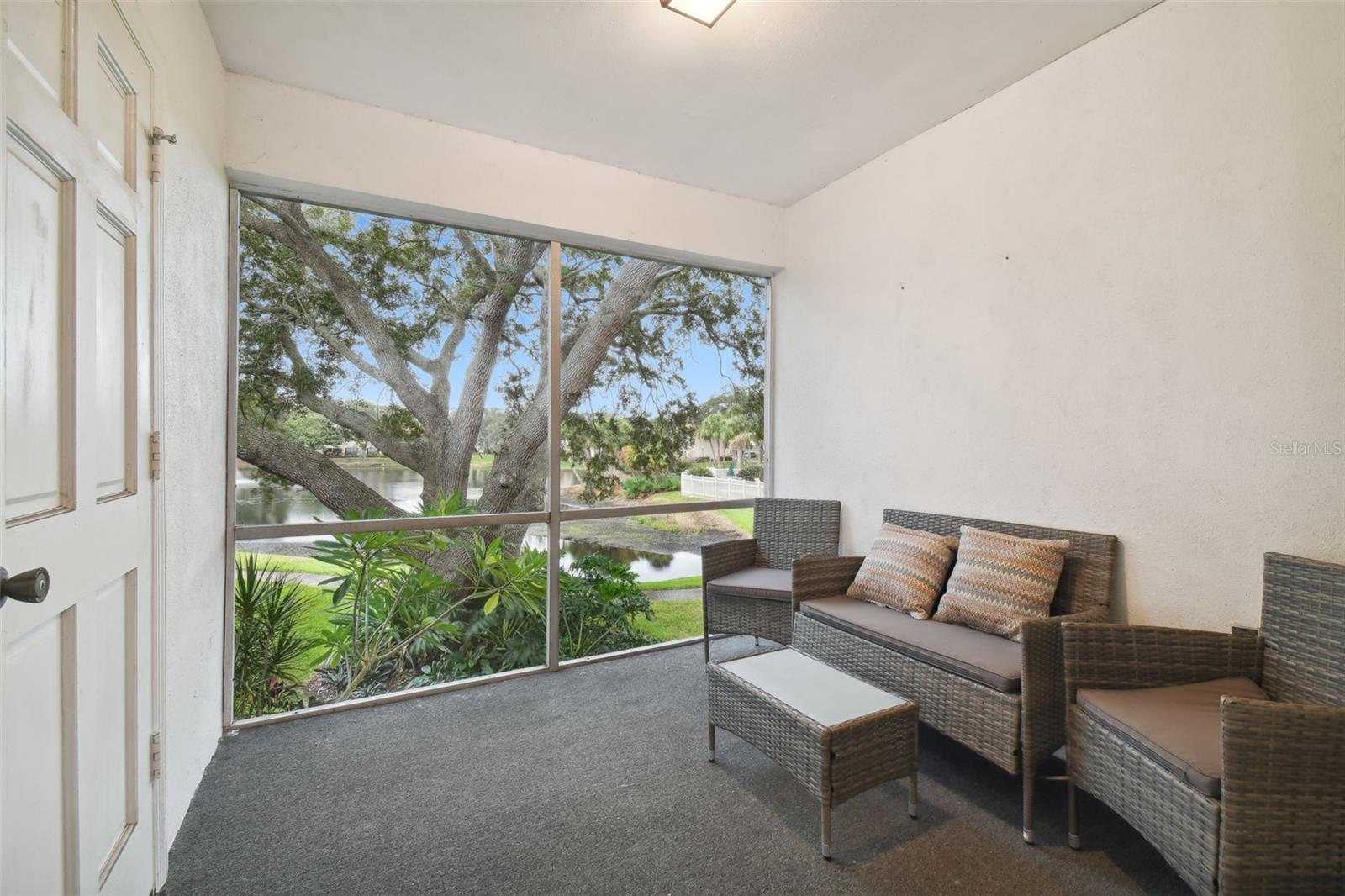 10382 CARROLLWOOD LN #268