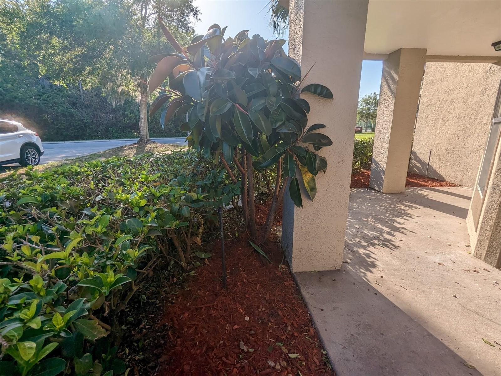 4205 WOODSTORKS WALK WAY #2101