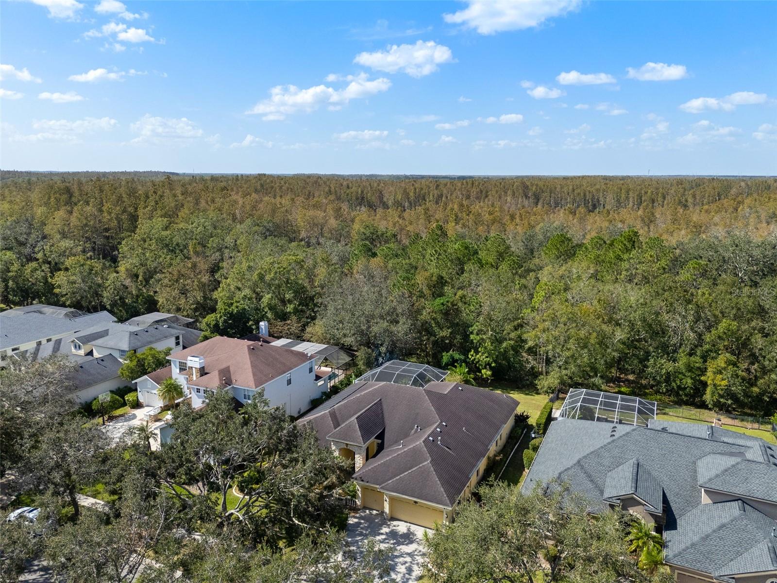 2111 CLIMBING IVY DR