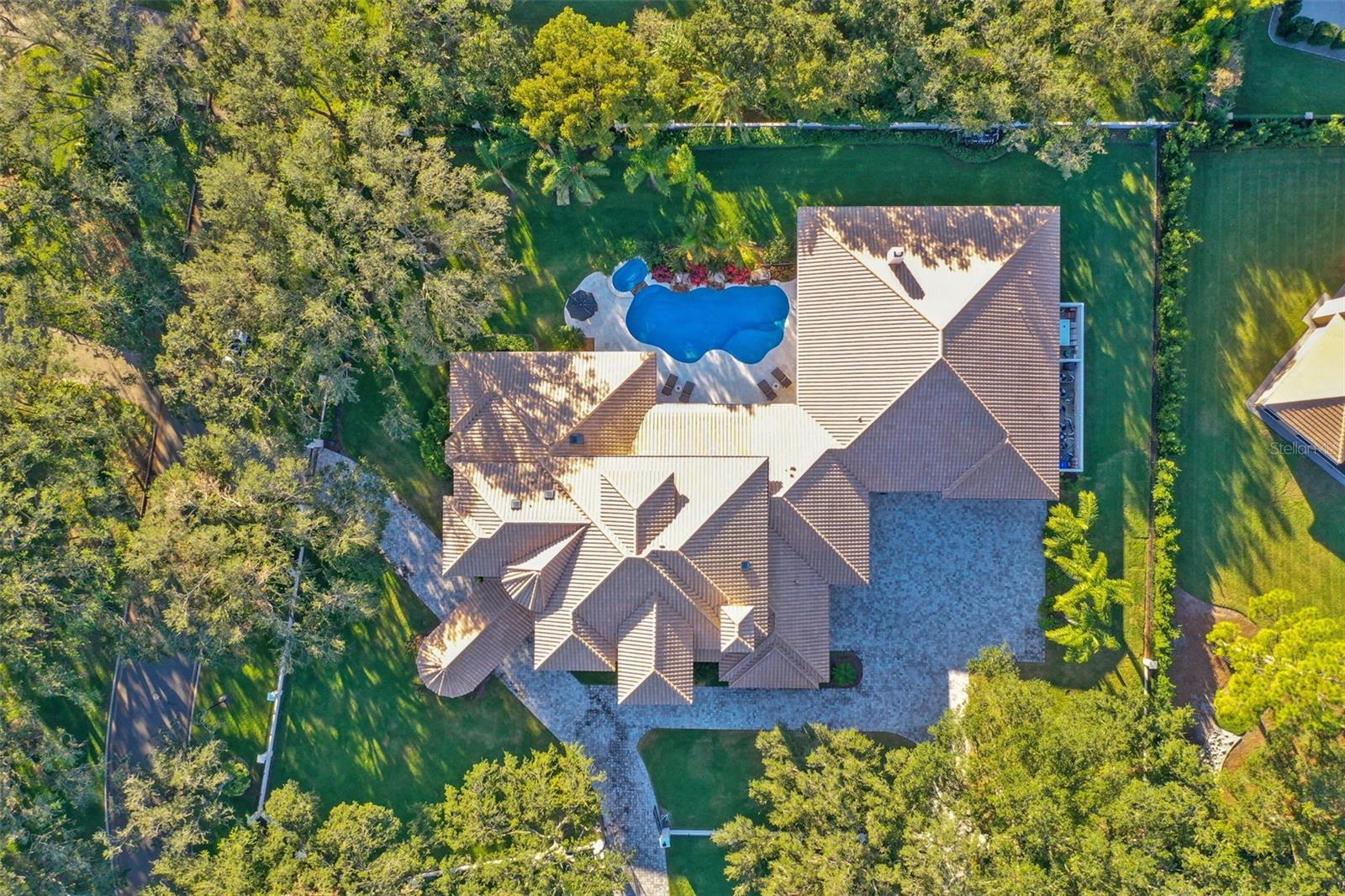 602 GUISANDO DE AVILA