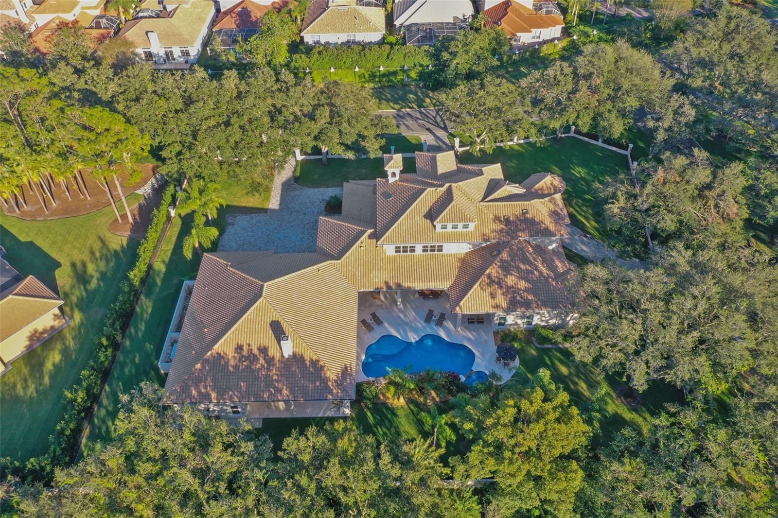 602 GUISANDO DE AVILA