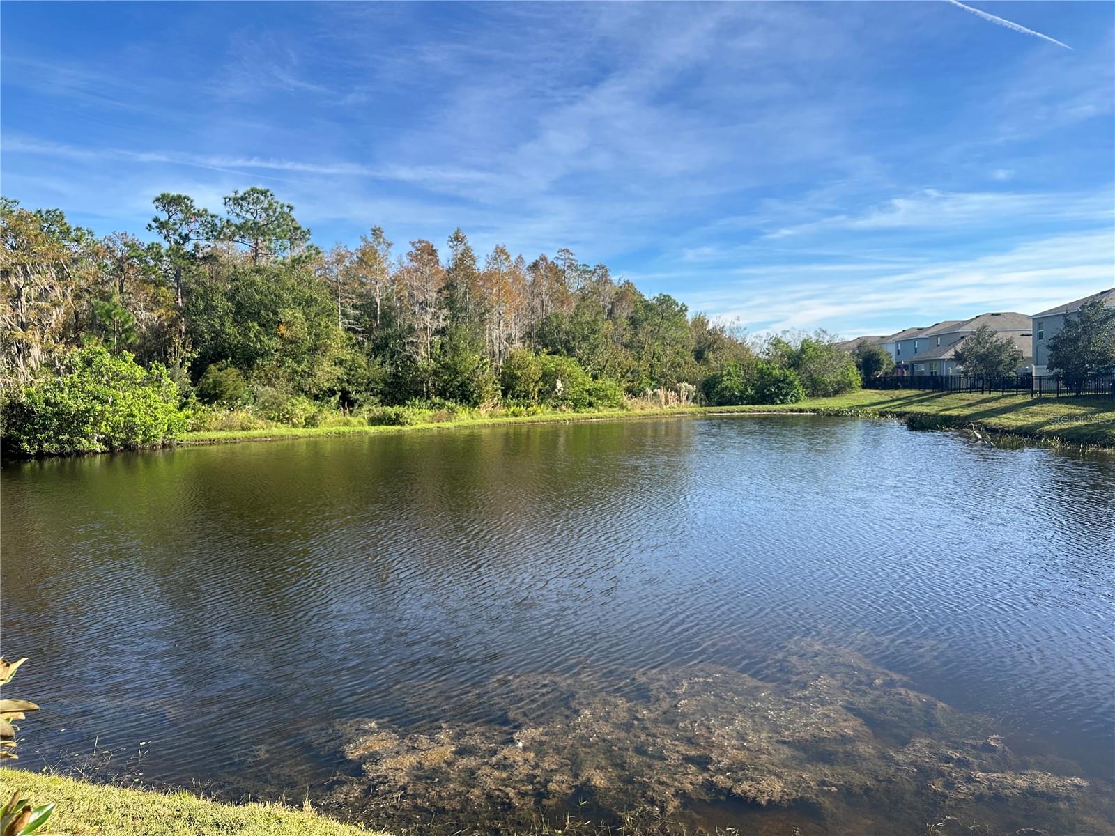 2834 SUNCOAST BLEND DR