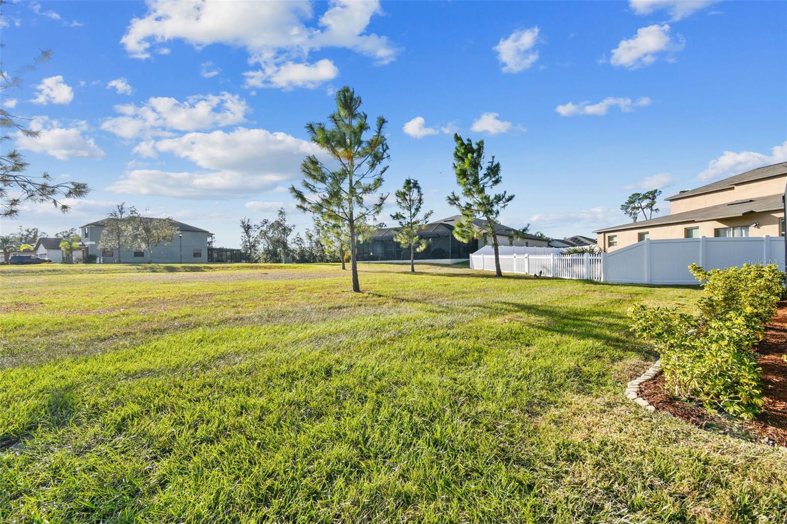 35942 SADDLE PALM WAY