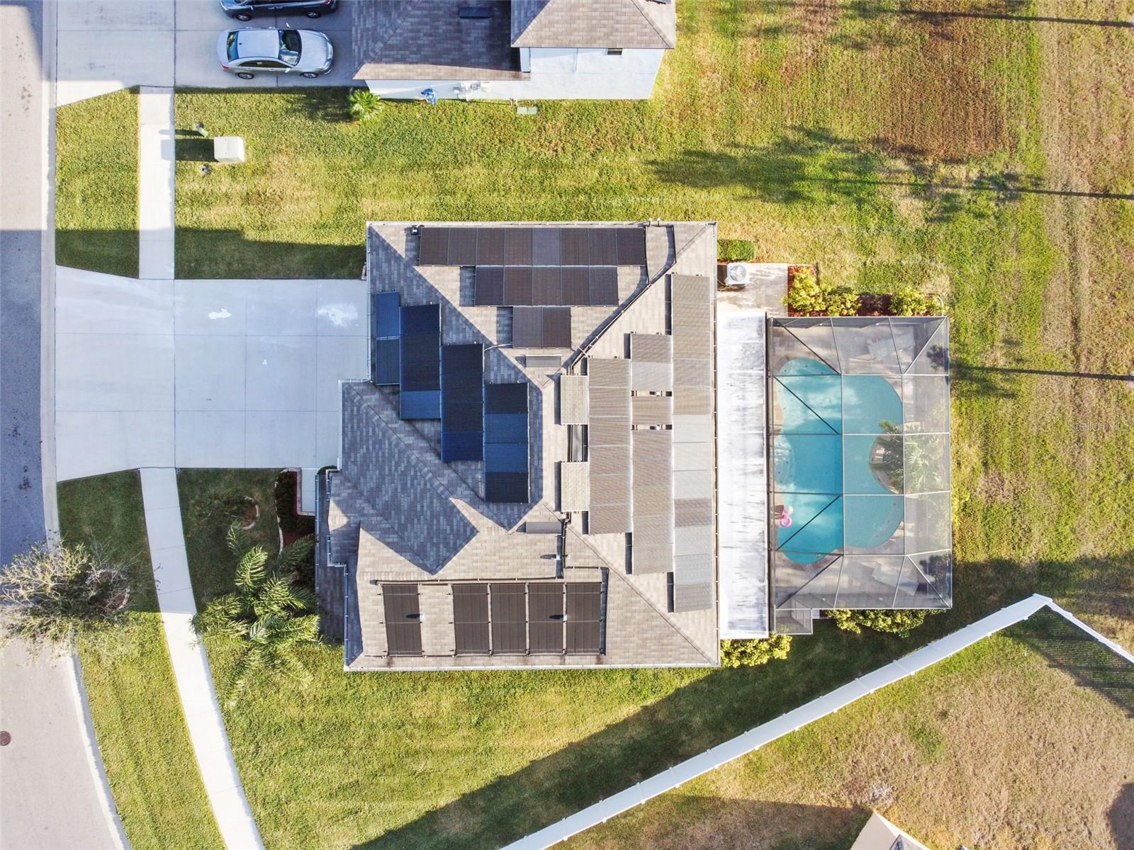 35942 SADDLE PALM WAY