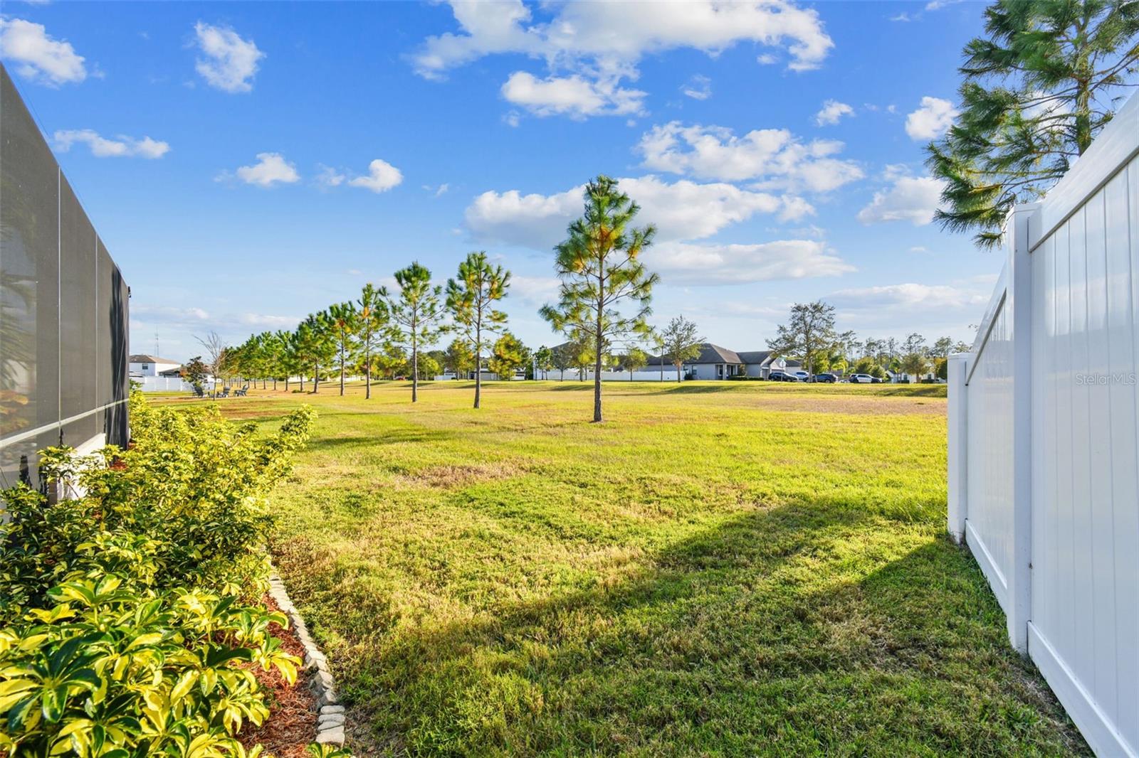 35942 SADDLE PALM WAY