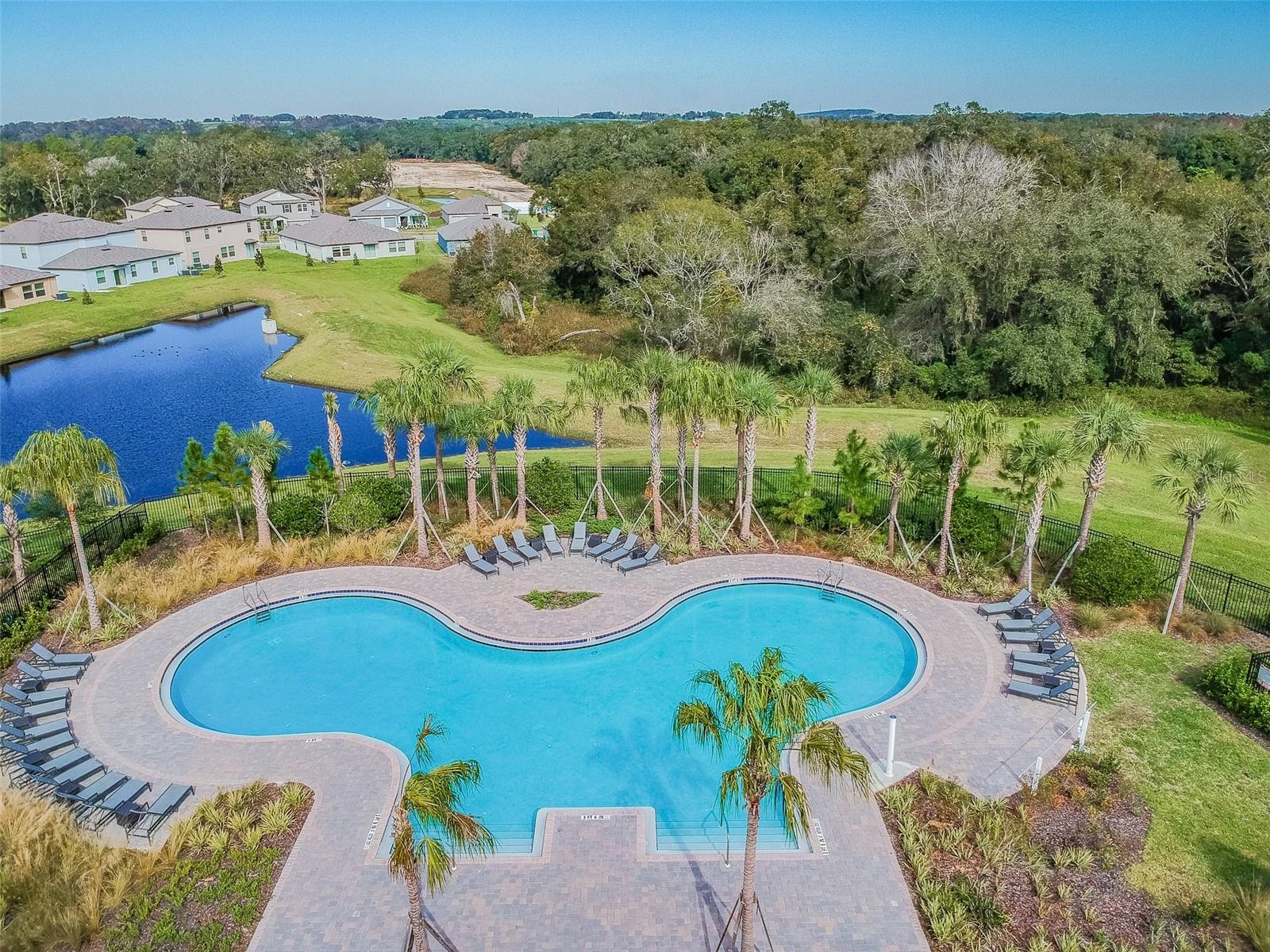 35942 SADDLE PALM WAY