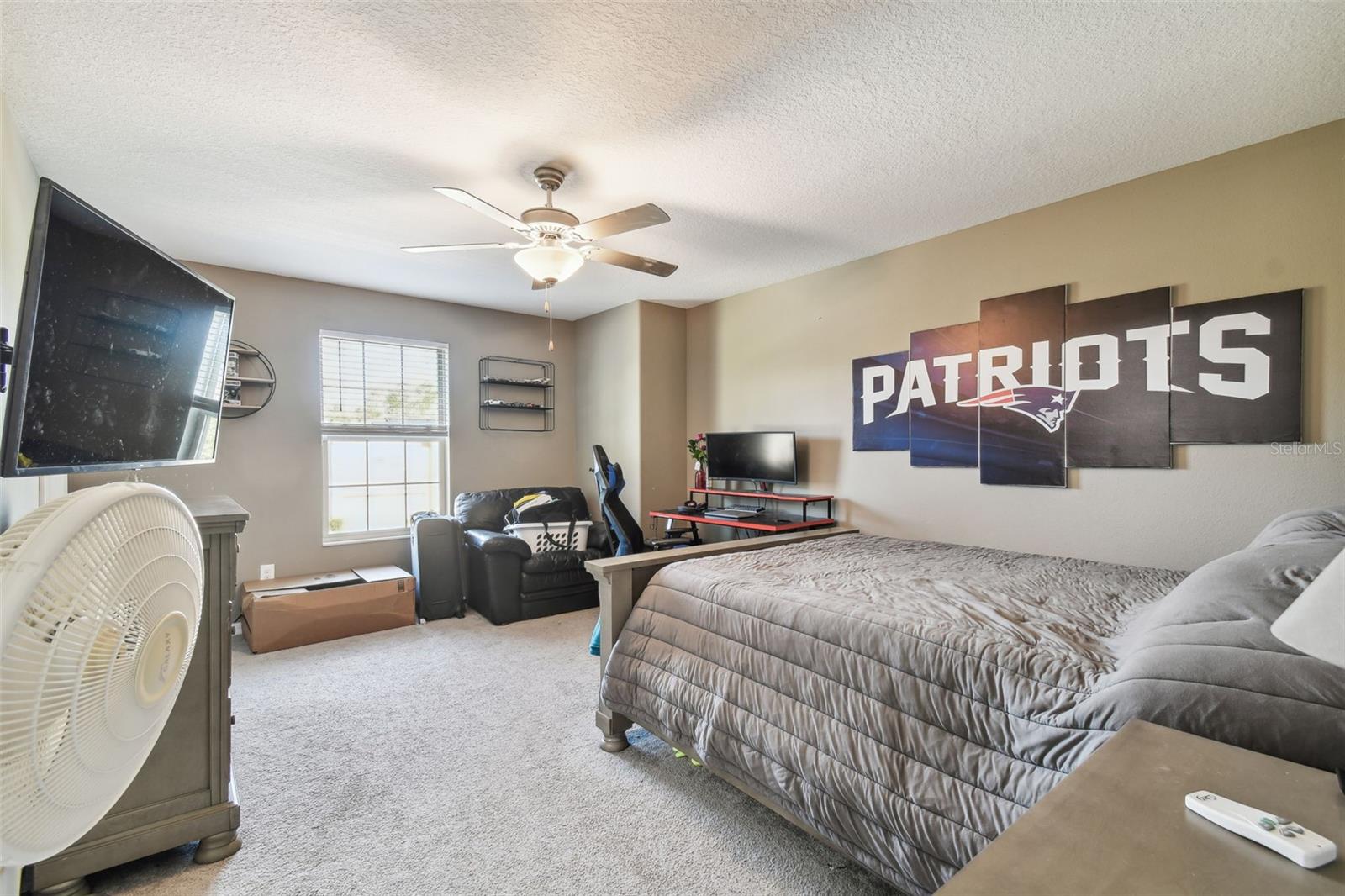 35942 SADDLE PALM WAY