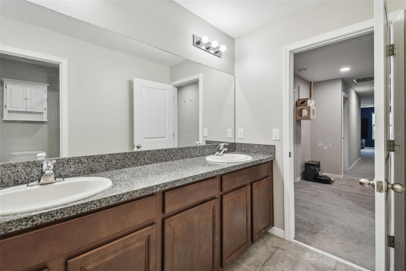 35942 SADDLE PALM WAY