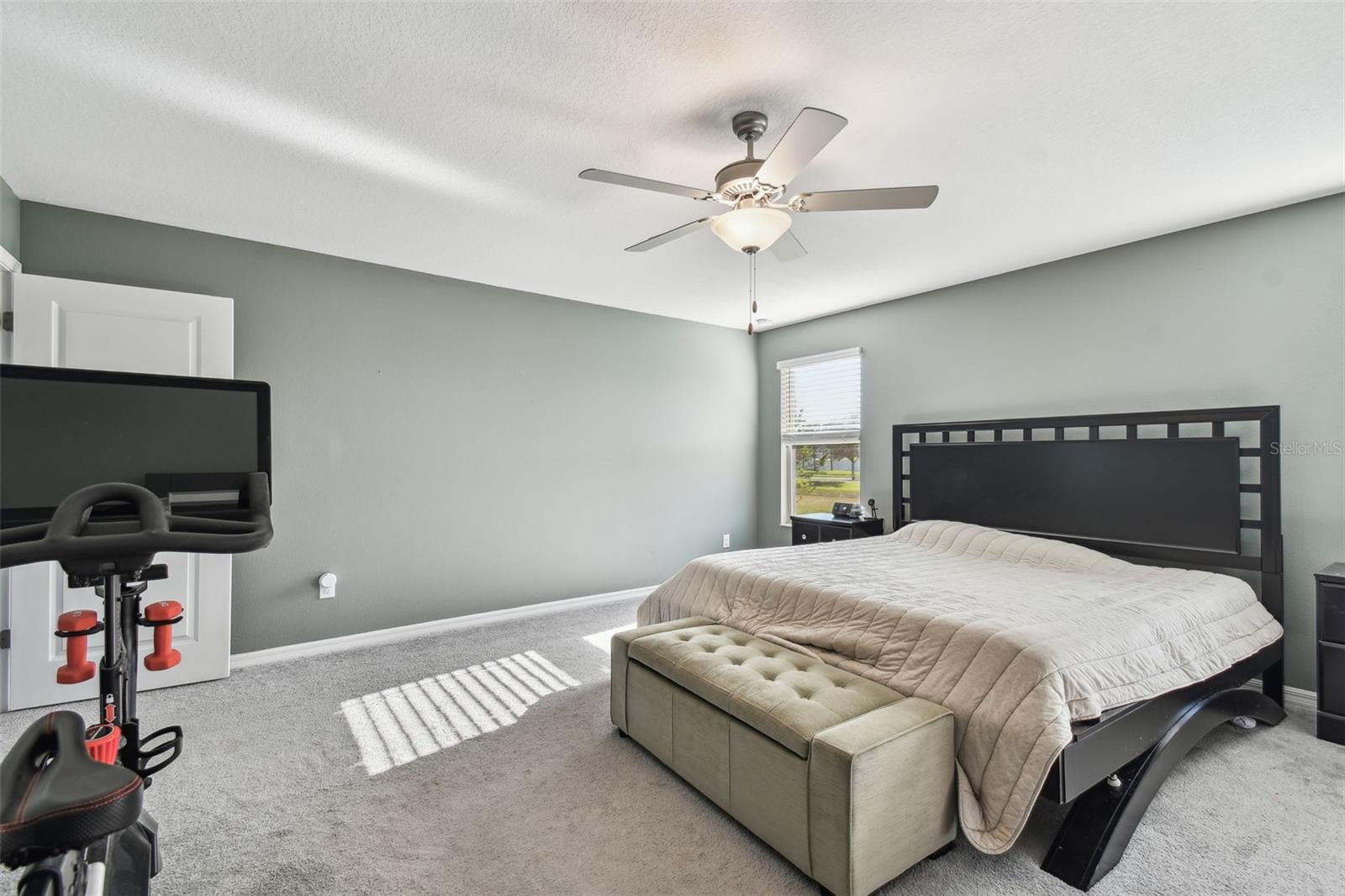 35942 SADDLE PALM WAY