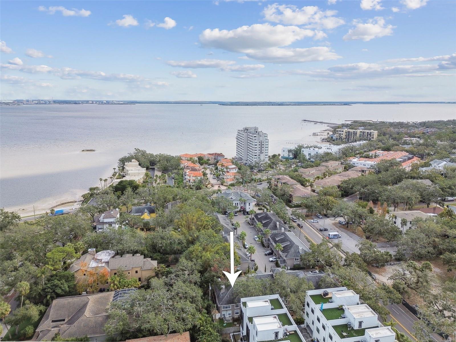 4811 BAYSHORE BLVD #302