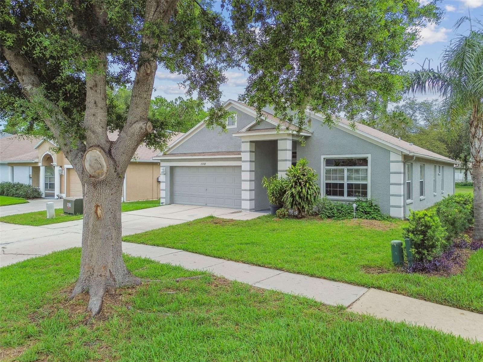 15709 LEATHERLEAF LN