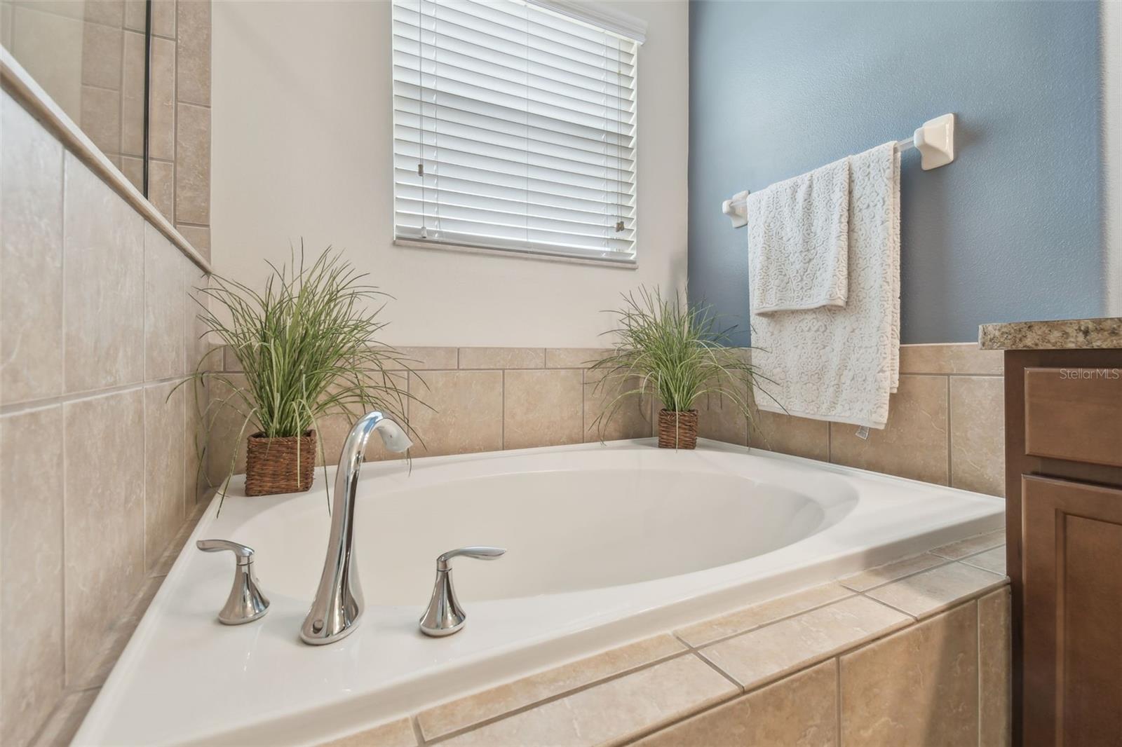 1012 SEMINOLE SKY DR