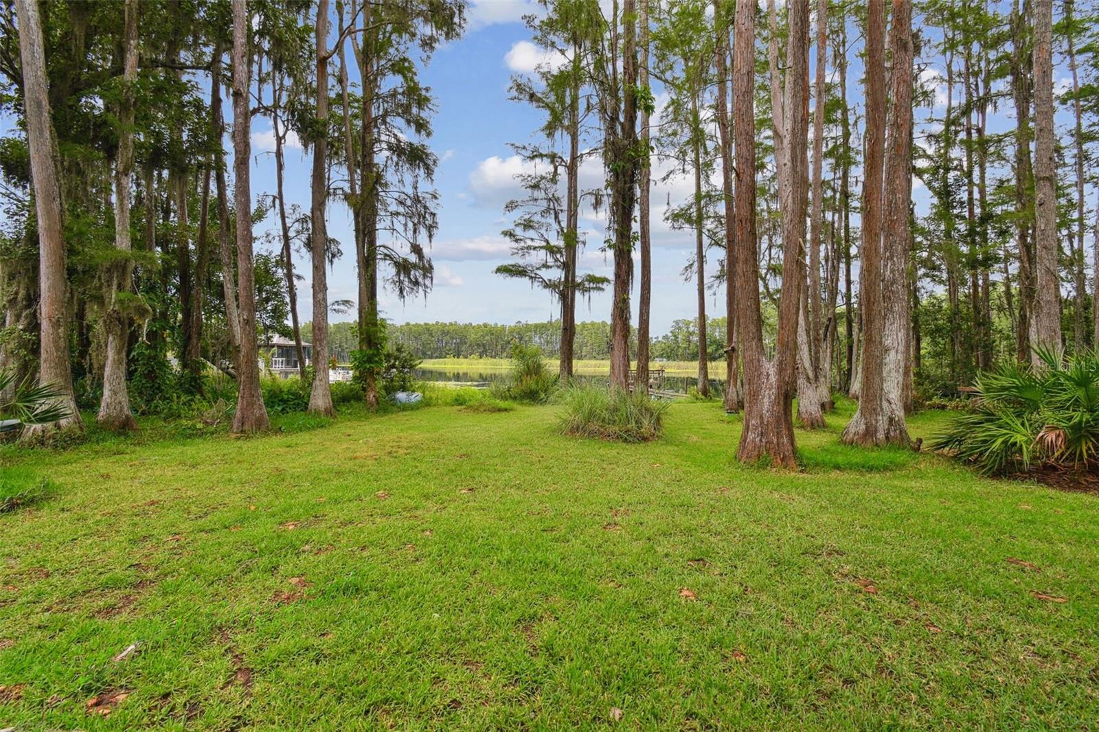 4540 MITCHELL RD
