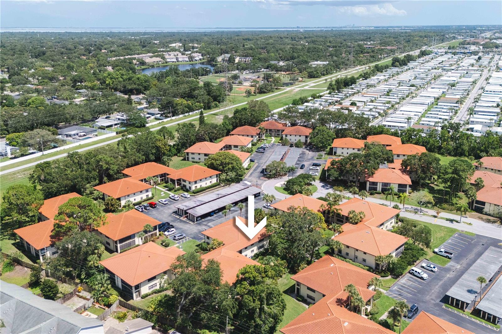 1109 HAMMOCK PINE BLVD