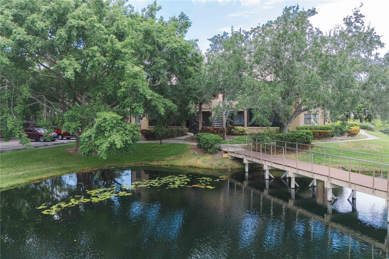 10263 GANDY BLVD N #2405