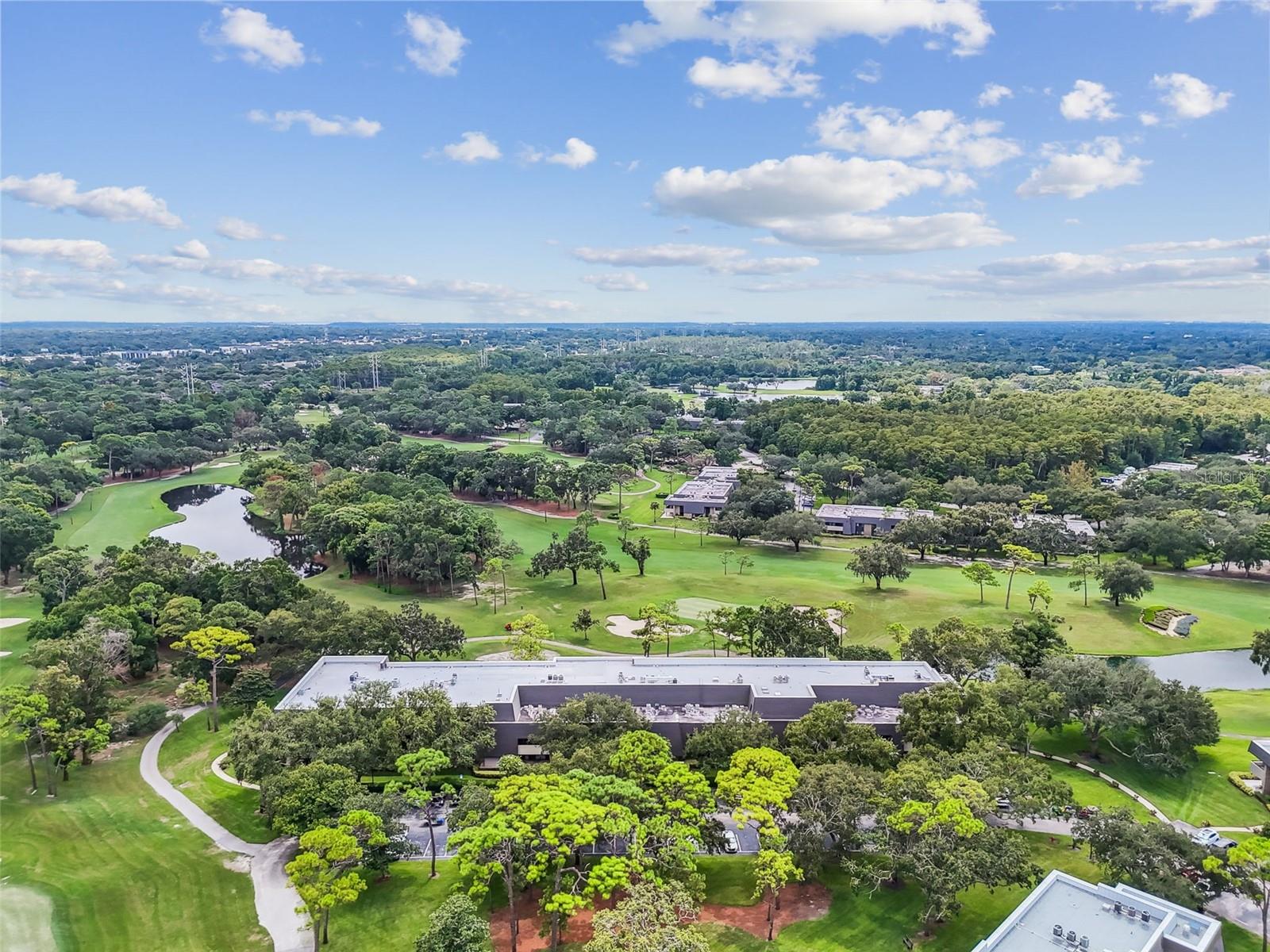 36750 US HIGHWAY 19 N #13-109