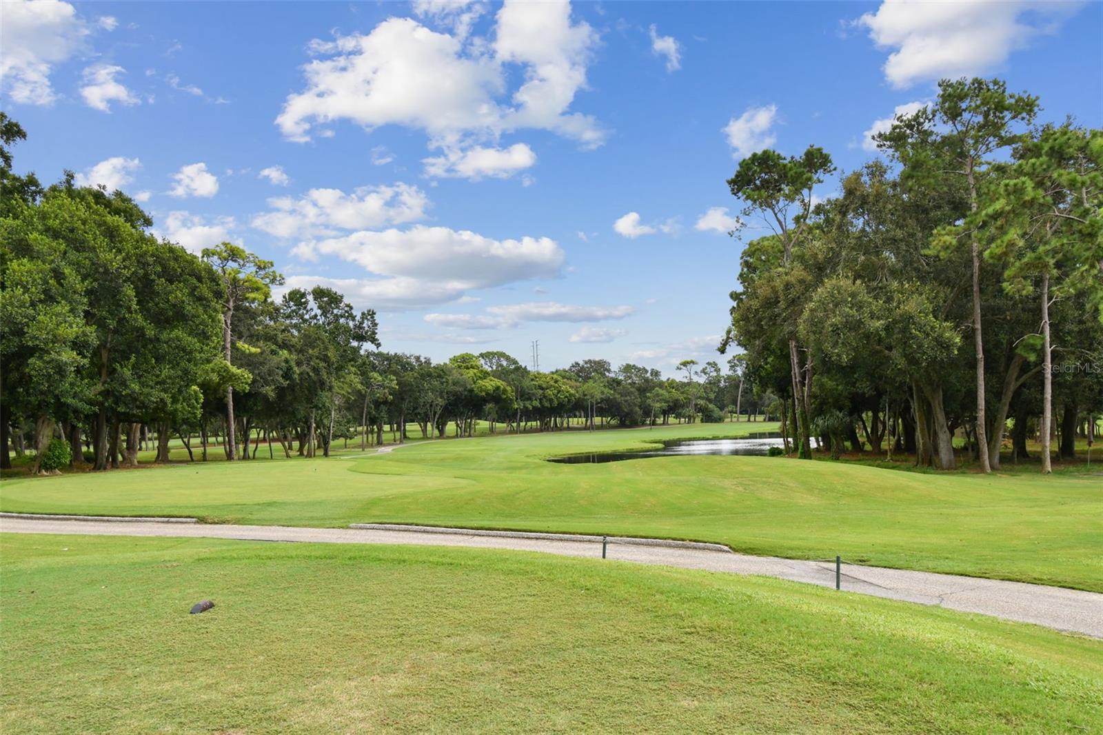 36750 US HIGHWAY 19 N #13-109