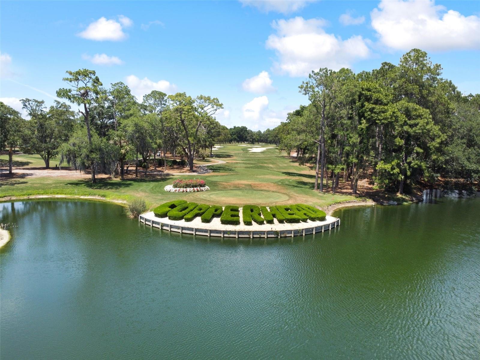 36750 US HIGHWAY 19 N #13-109