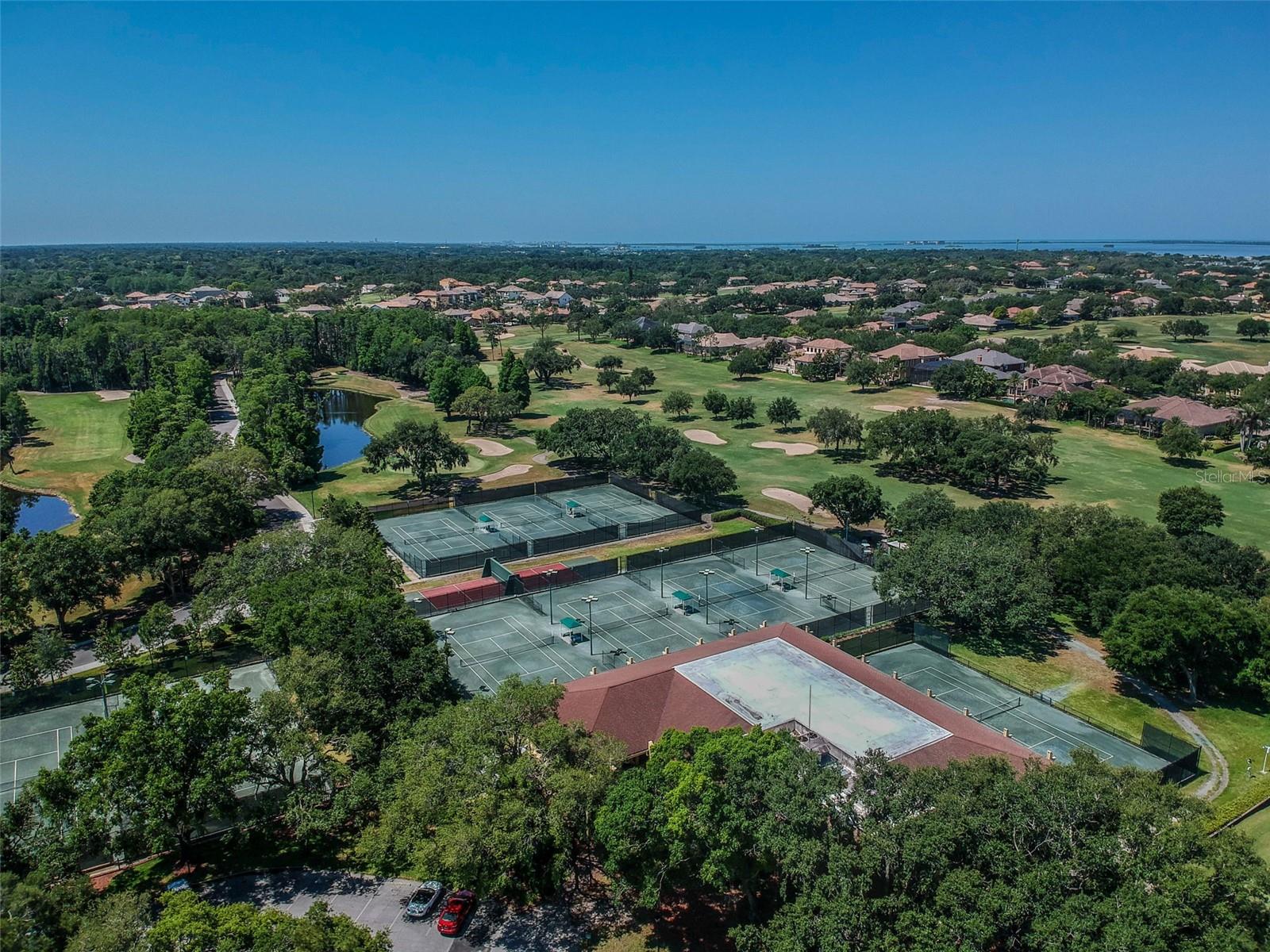 36750 US HIGHWAY 19 N #13-109